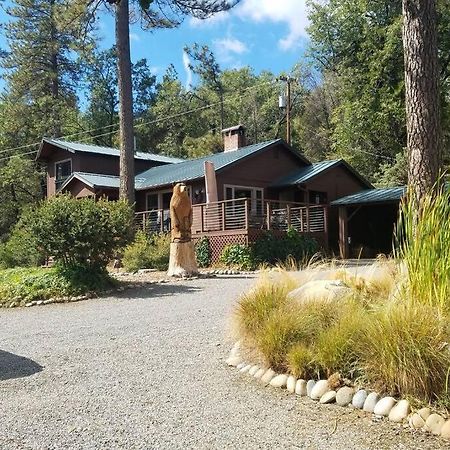 Uncle Grizz'S Cabin...Get Intouch With Nature Bass Lake Annex Exteriör bild