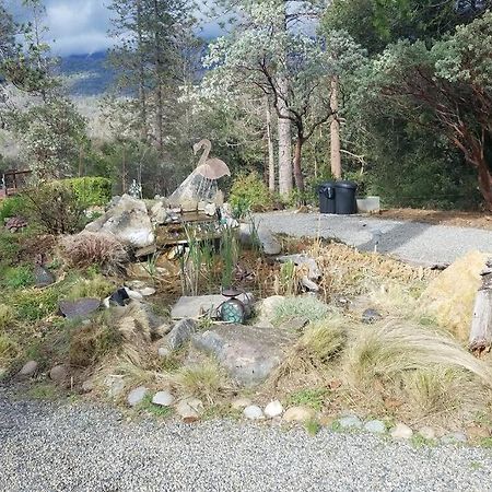 Uncle Grizz'S Cabin...Get Intouch With Nature Bass Lake Annex Exteriör bild