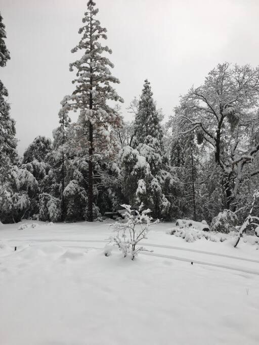 Uncle Grizz'S Cabin...Get Intouch With Nature Bass Lake Annex Exteriör bild