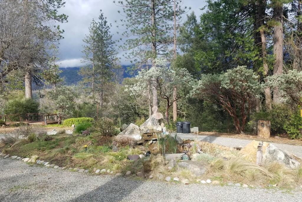 Uncle Grizz'S Cabin...Get Intouch With Nature Bass Lake Annex Exteriör bild