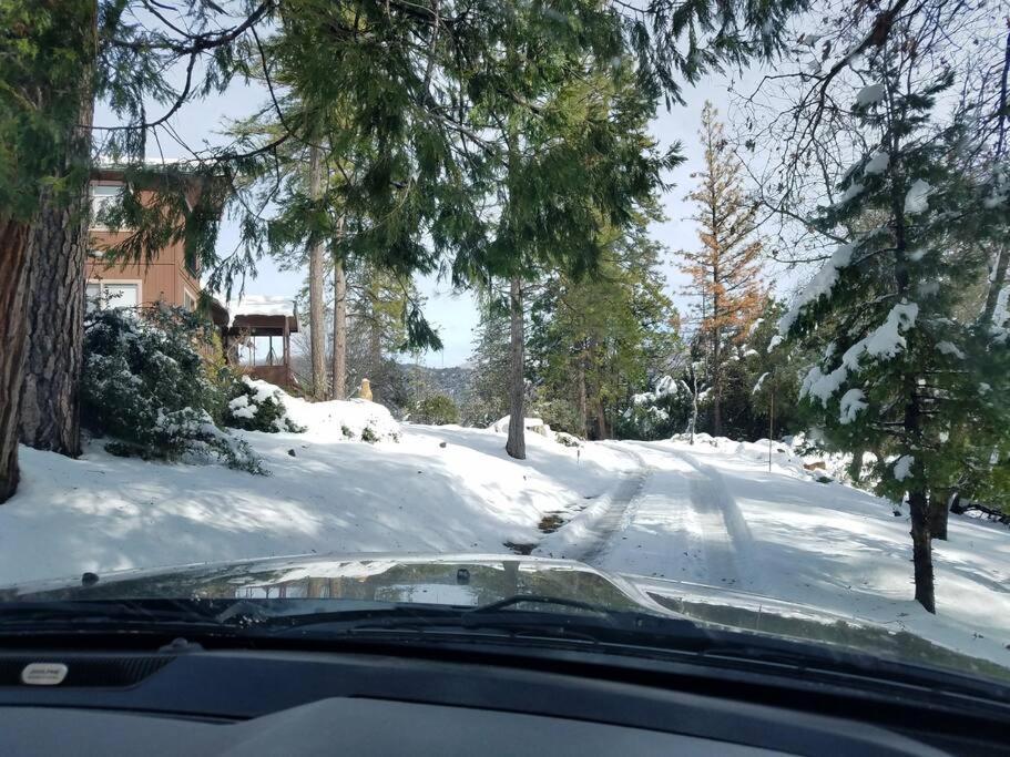 Uncle Grizz'S Cabin...Get Intouch With Nature Bass Lake Annex Exteriör bild
