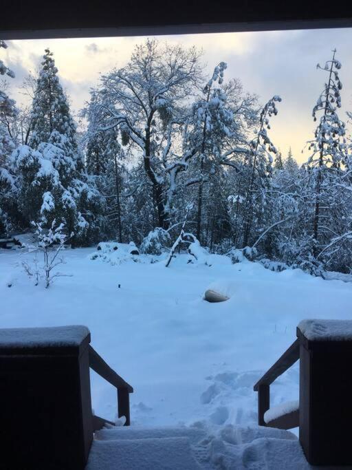 Uncle Grizz'S Cabin...Get Intouch With Nature Bass Lake Annex Exteriör bild